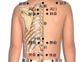 小儿推拿常用穴位●背腰骶部穴位●腰俞（腰眼）