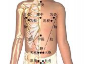 小儿推拿常用穴位●胸腹部穴位•肚角