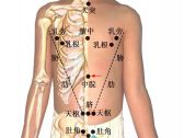 小儿推拿常用穴位●胸腹部穴位•中脘