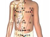 小儿推拿常用穴位●胸腹部穴位•乳根