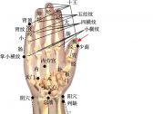 小儿推拿常用穴位●上肢部穴位●脾经