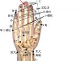 小儿推拿常用穴位●上肢部穴位●心经