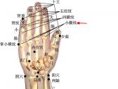 小儿推拿常用穴位●上肢部穴位●小横纹