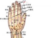 小儿推拿常用穴位●上肢部穴位●十王（十宣）