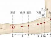 手阳明腧穴●阳溪（别名:中魁；手阳明大肠经经穴）