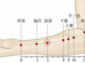 手阳明腧穴●温溜（别名:逆注、蛇头；手阳明大肠经郄穴）