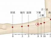 手阳明腧穴●下廉（别名:手下廉）