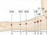 手阳明腧穴●上廉（别名:手上廉、强壮、手之上廉）