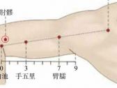 手阳明腧穴●肘髎（别名:肘聊、肘尖）