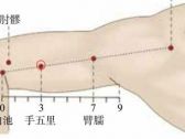 手阳明腧穴●手五里（别名:大禁、五里、臂五里等）