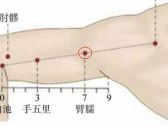 手阳明腧穴●臂臑（别名:头冲、颈冲、别阳、臂脑）