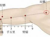 手阳明腧穴●肩髃（别名:中肩井、扁骨、肩井、肩尖、尚骨） ...