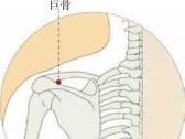 手阳明腧穴●巨骨(手阳明经、阳跷脉交会穴)