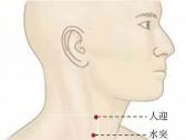 足阳明腧穴●气舍（别名:脐中）