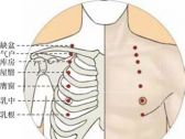 足阳明腧穴●膺窗