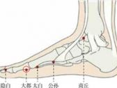 足太阴腧穴●大都 (足太阴脾经荥穴)