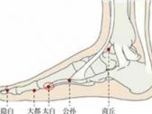 足太阴腧穴●太白 (足太阴脾经输穴、原穴)