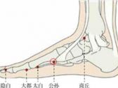 足太阴腧穴●公孙 (足太阴脾经络穴，八脉交会穴之通冲脉)