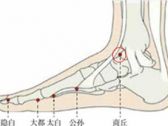 足太阴腧穴●商丘 (足太阴脾经经穴)