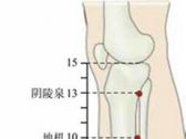 足太阴腧穴●三阴交 (足太阴脾经、足少阴肾经、足厥阴肝经交会穴) ... ... ...