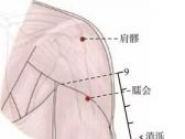 手少阳腧穴●臑会(别名:臑会，臑窌，臑髎)