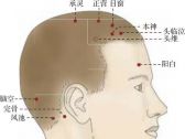 足少阳腧穴●目窗(别名：至营；足少阳胆经、阳维脉交会穴)