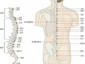 督脉腧穴●长强(别名:气之阴郄、橛骨、气郄;络穴，督脉、足少阳经、足少阴经交会穴) . ...