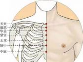 任脉腧穴●天突(别名:玉户、天瞿)