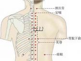 背部奇穴●胃脘下俞(别名：胰俞)