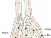 上肢部奇穴●小骨空(别名:小骨孔，小空骨)