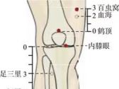 下肢部奇穴●鹤顶