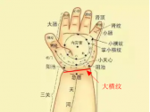 小儿推拿常用穴位●上肢部穴位●大横纹