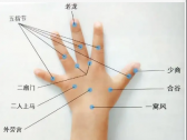 小儿推拿常用穴位●上肢部穴位●二扇门