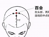 小儿推拿常用穴位●头面颈项部穴位●百会