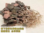 金线莲的种植方法