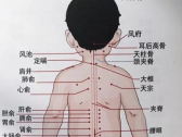 小儿捏脊疗法常用腰背部穴位